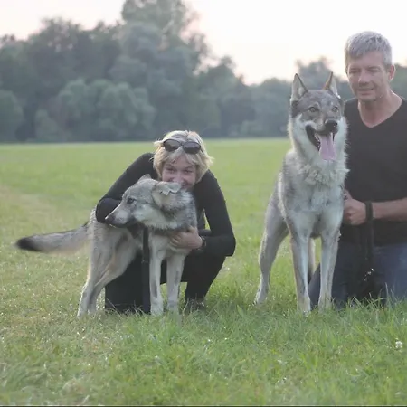 호텔 Chez Sandrine